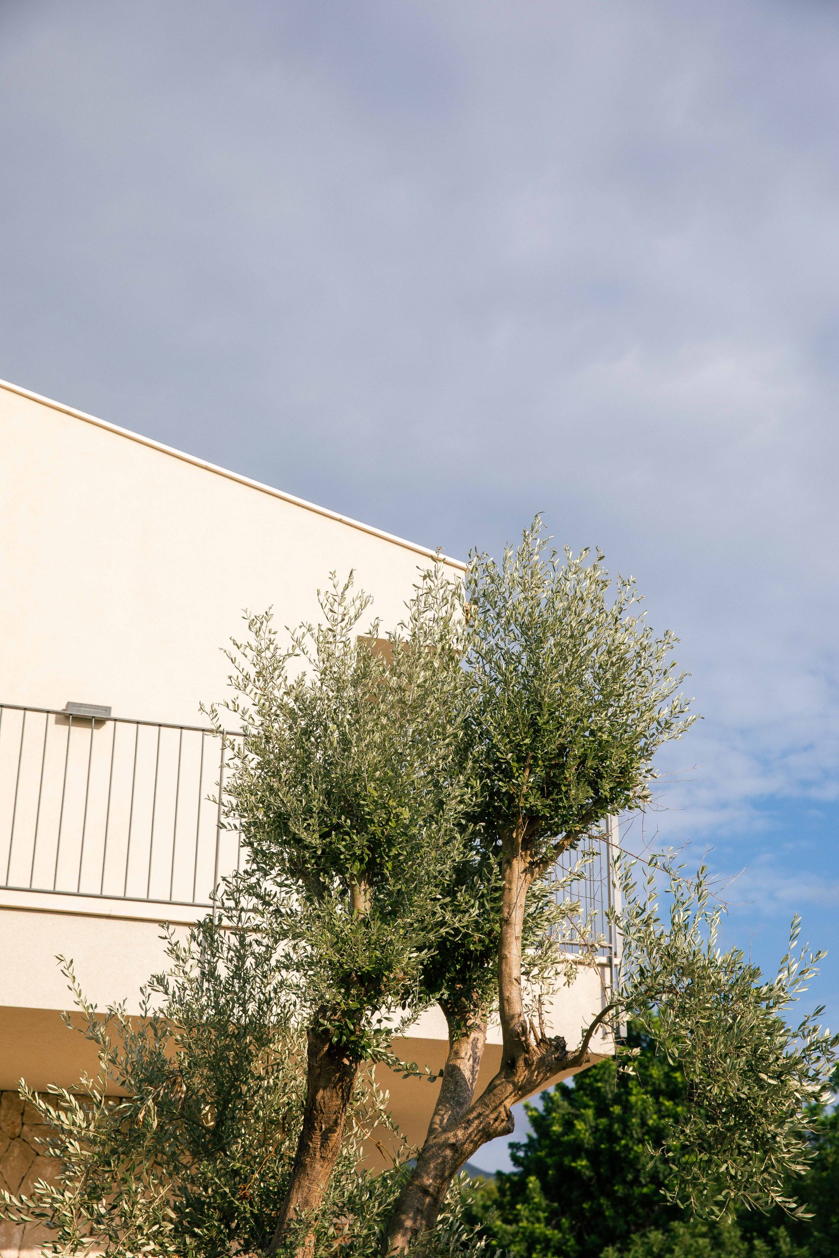 casa saludable en mallorca